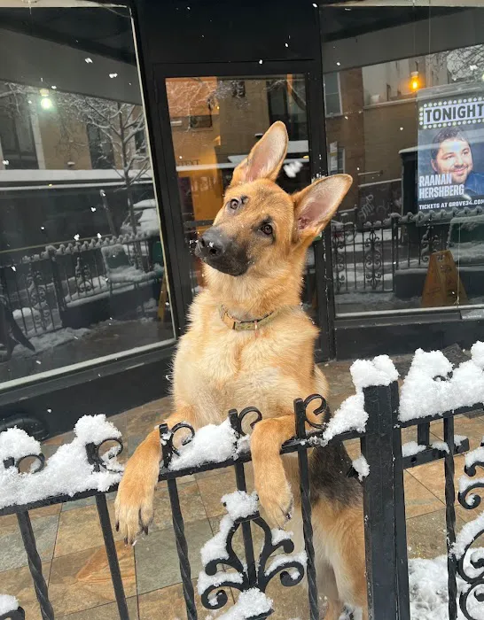 Animal Clinic of Long Island City Picture 1