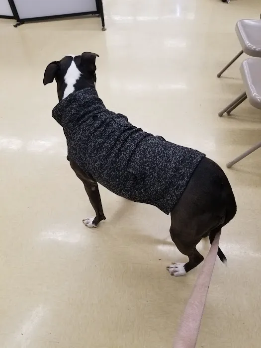 Petco Picture 10