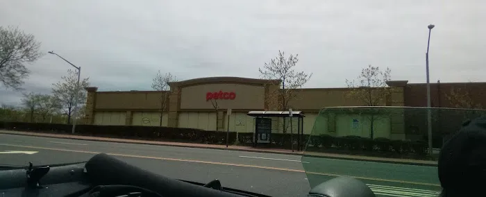 Petco Picture 5