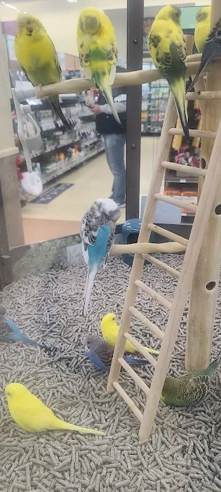 Petco Picture 9