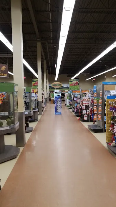Petco Picture 8
