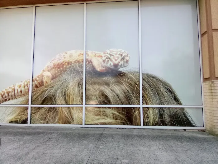 Petco Picture 4