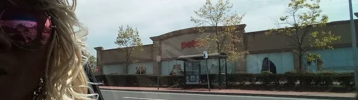 Petco Picture 1