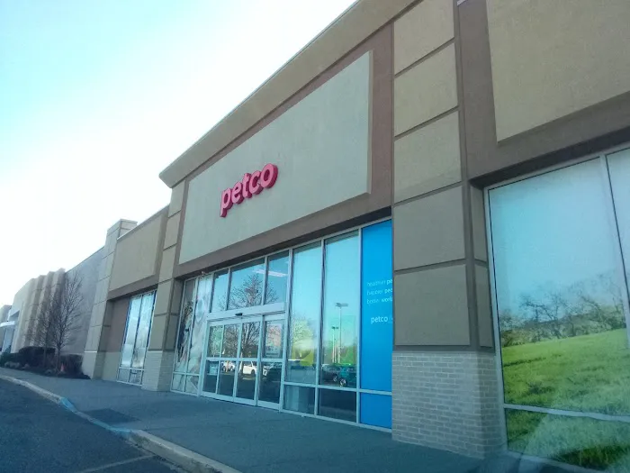 Petco Picture 3