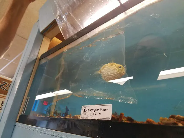 Brian's Tropical Aquarium & Pets Picture 2