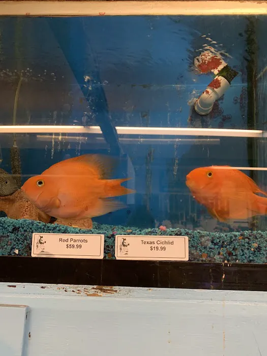 Brian's Tropical Aquarium & Pets Picture 3