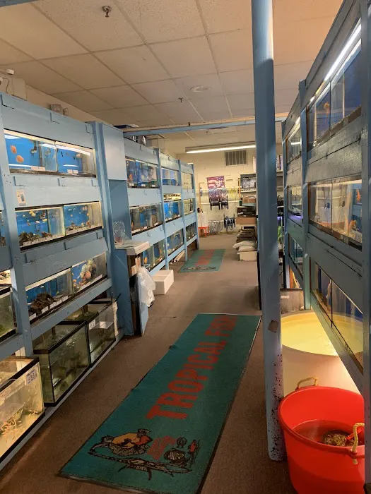 Brian's Tropical Aquarium & Pets Picture 4