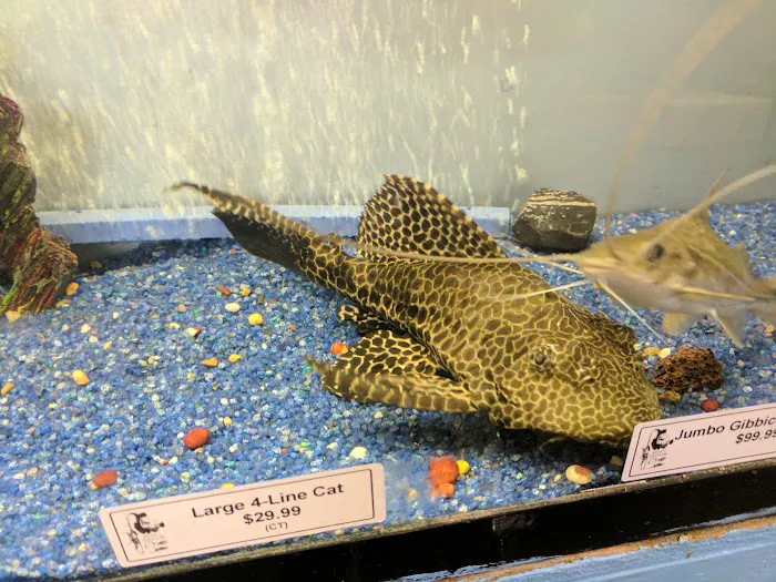 Brian's Tropical Aquarium & Pets Picture 8