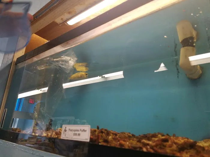 Brian's Tropical Aquarium & Pets Picture 6