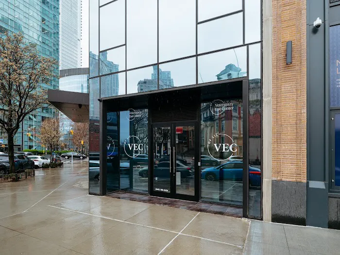 Veterinary Eye Center of New York City (Long Island City) Picture 9