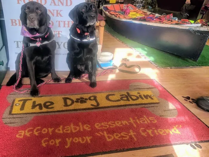 The Dog Cabin Picture 3