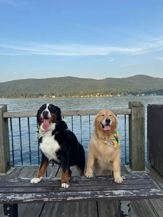 The Dog Cabin Picture 4