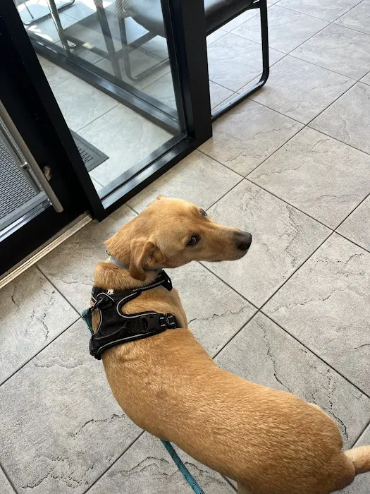 Court Square Animal Hospital Picture 8