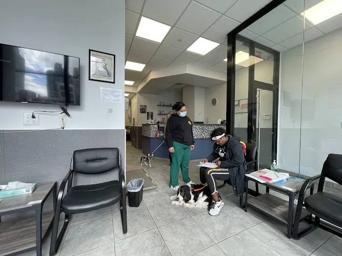 Court Square Animal Hospital Picture 1