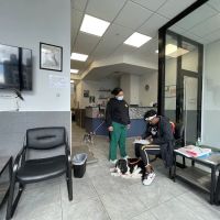 Court Square Animal Hospital ico
