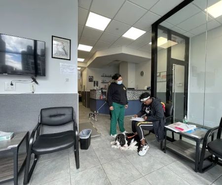 Court Square Animal Hospital