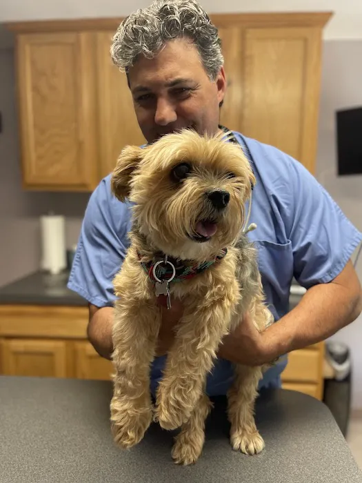Veterinary Oncology Services Picture 3