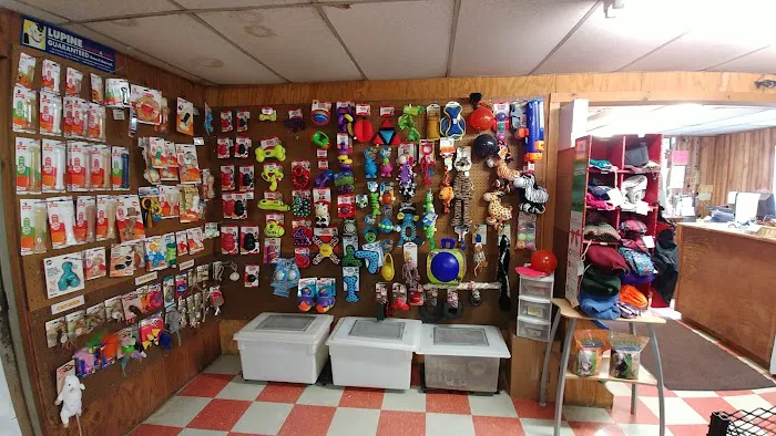 Mt Tully Kennels Picture 8