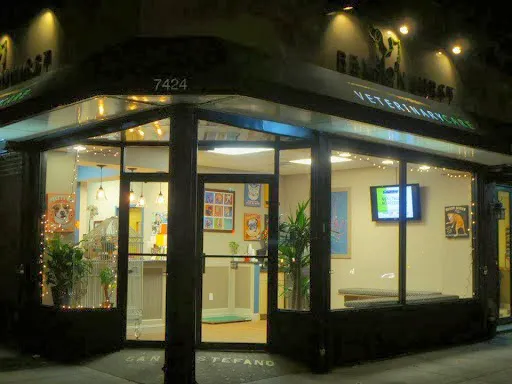 Bensonhurst Veterinary Care Picture 3