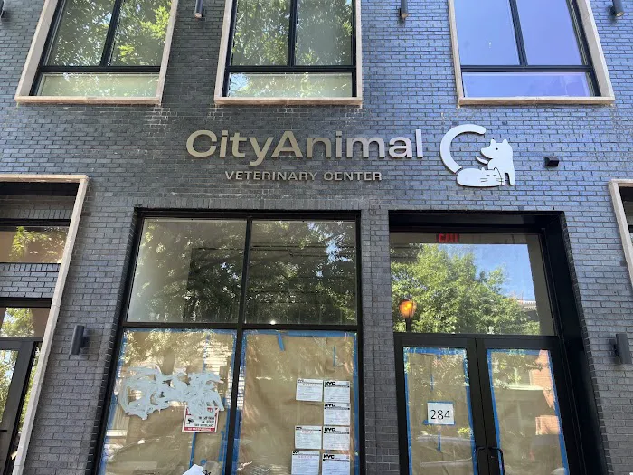 City Animal Veterinary Center Picture 5