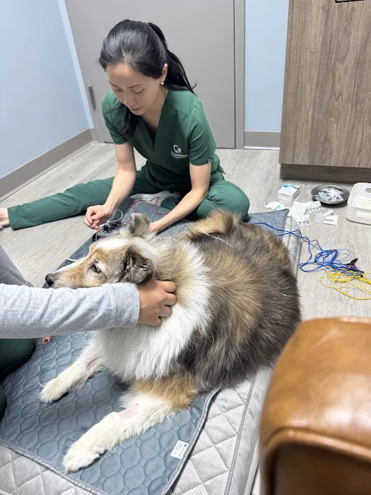 City Animal Veterinary Center Picture 2