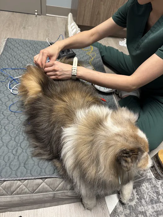 City Animal Veterinary Center Picture 3