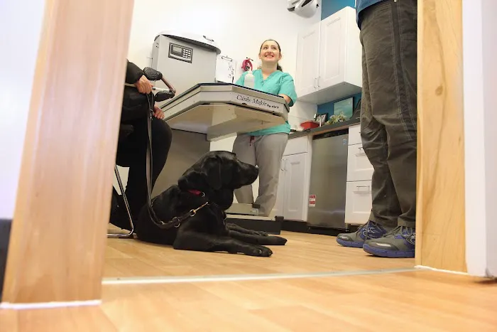 Alison Animal Hospital Picture 10