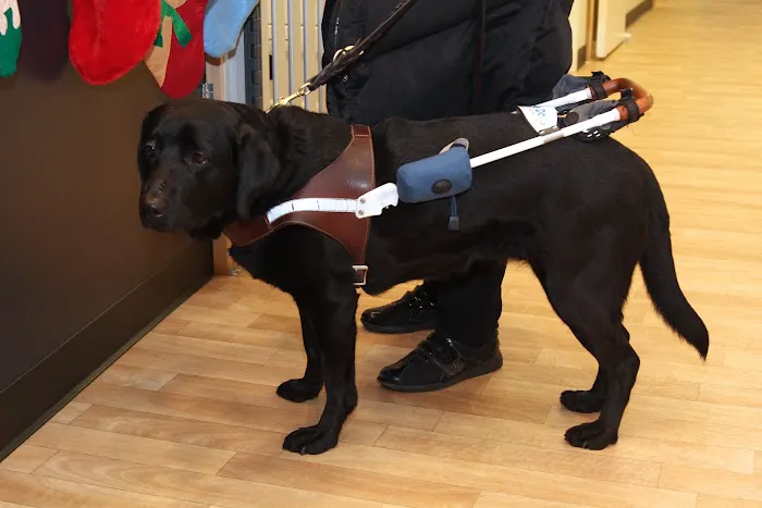 Alison Animal Hospital Picture 7
