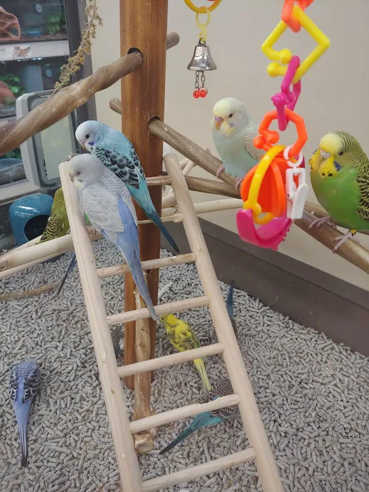 Petco Picture 5