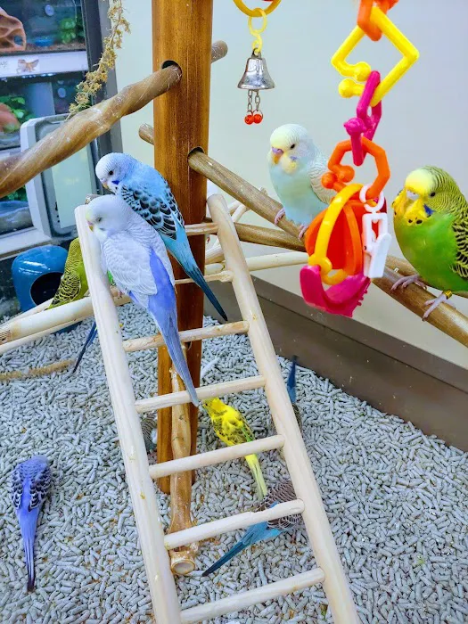 Petco Picture 3