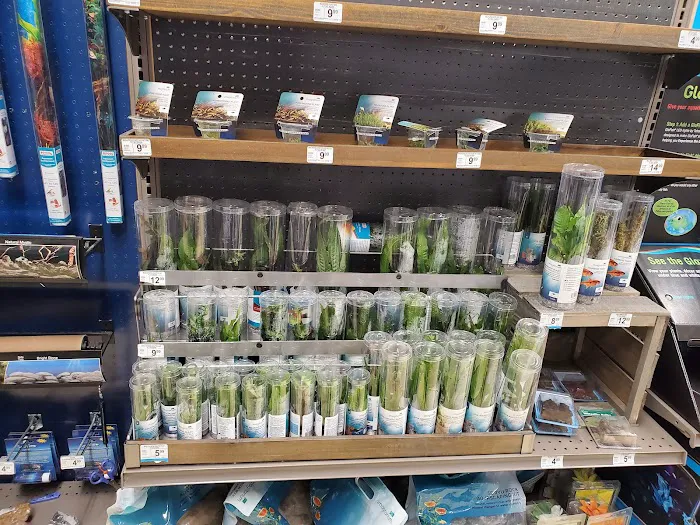 Petco Picture 8