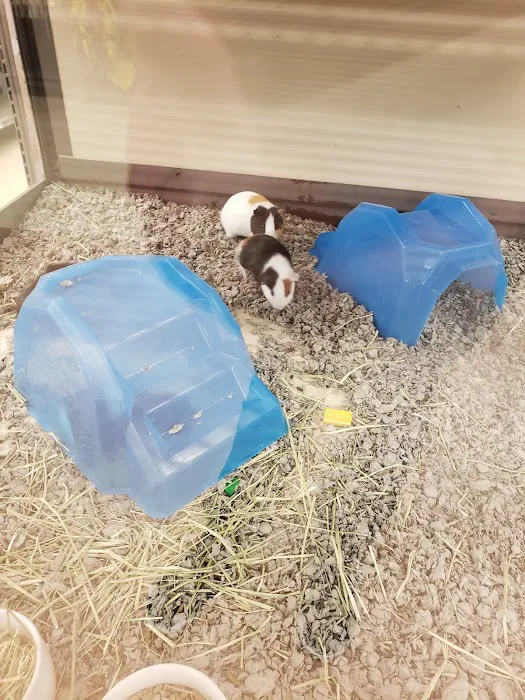 Petco Picture 7