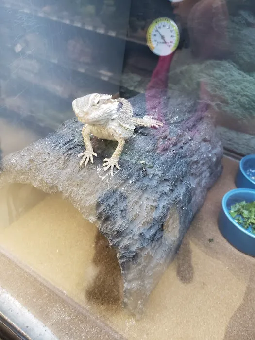 Petco Picture 4