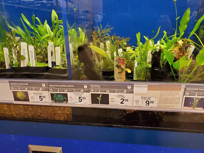 Petco Picture 6