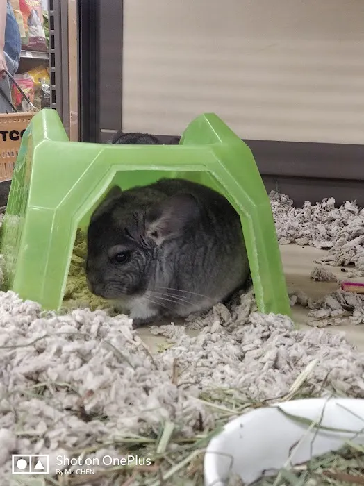 Petco Picture 10