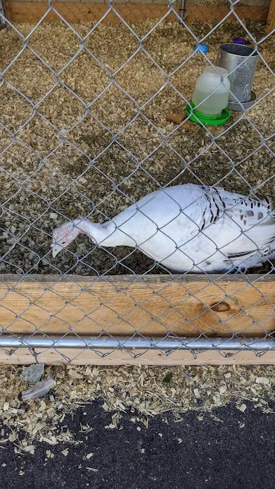 Brooklyn Farm & Pets & Hardware LLC Picture 5