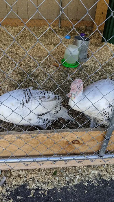 Brooklyn Farm & Pets & Hardware LLC Picture 7