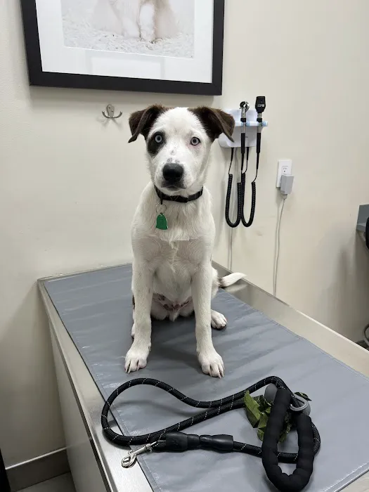 Animal Kind Veterinary Hospital Picture 1