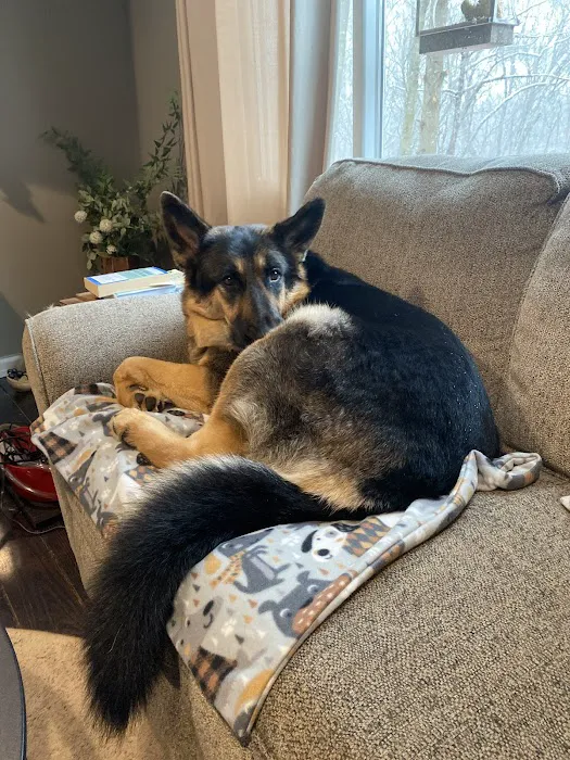 Pawfect Stitch Picture 2