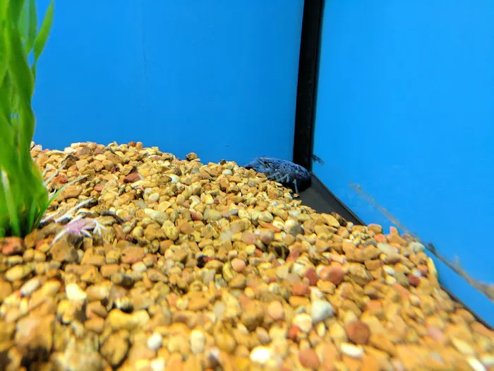 Petco Picture 2