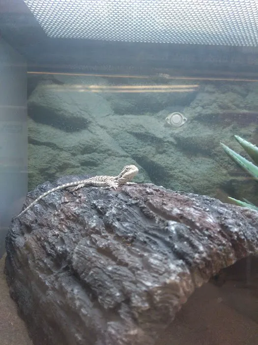 Petco Picture 7