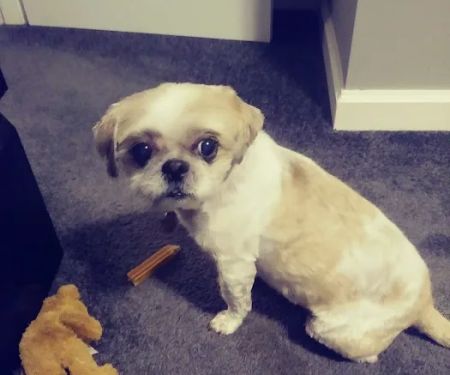 Petco