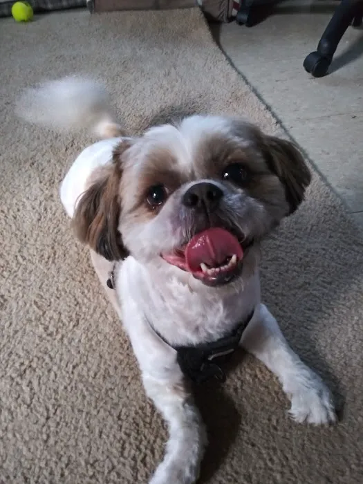 Petco Picture 5
