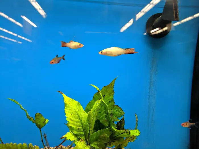 Petco Picture 8