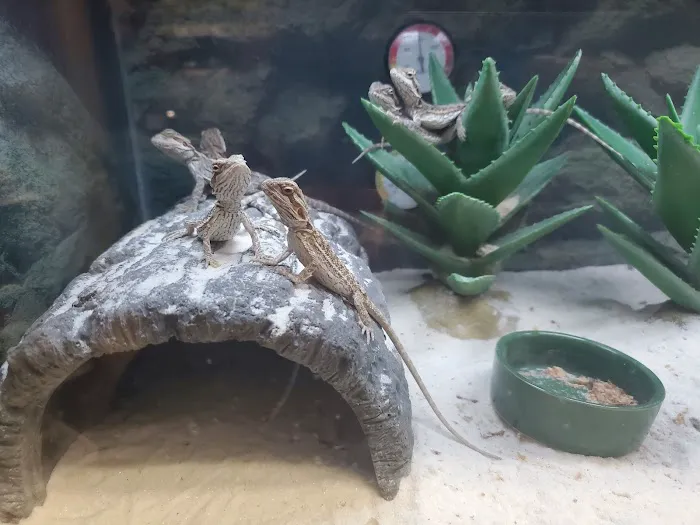 Petco Picture 10