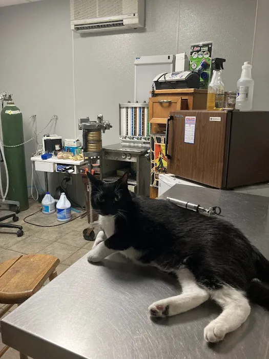 Call Ahead Veterinary Picture 2