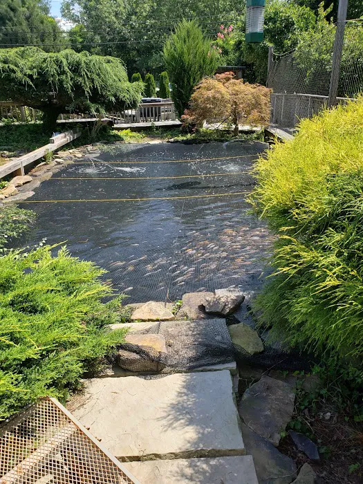 River Roads Ponds & Koi Picture 10