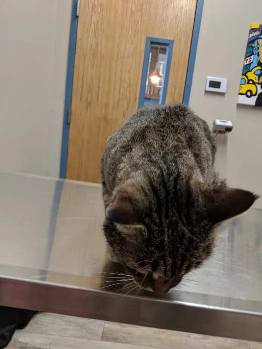 Greenwood Veterinary Care Picture 1