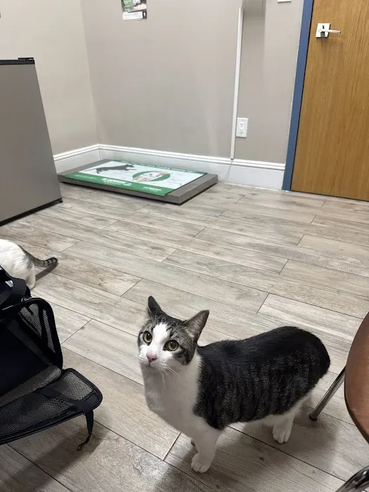 Greenwood Veterinary Care Picture 8