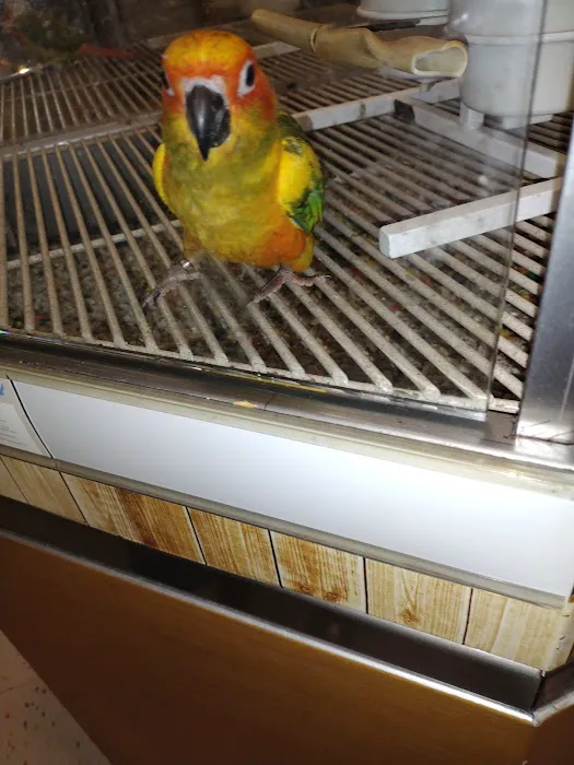 Petco Picture 6